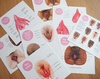La vulva • Set de educación anatómica • Versión en español • 15 impresiones + 21 imágenes digitales • The Vulva Gallery
