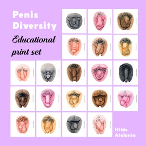 Vulva and Penis Anatomy Education Set Digital Set The Vulva Gallery 画像 7