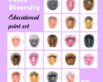Vulva Diversity Education Set • Digital • The Vulva Gallery