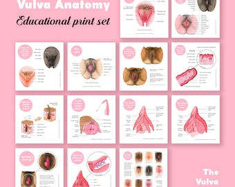 Vulva Anatomy Education Set • English version • 15 prints + 21 digital images • The Vulva Gallery