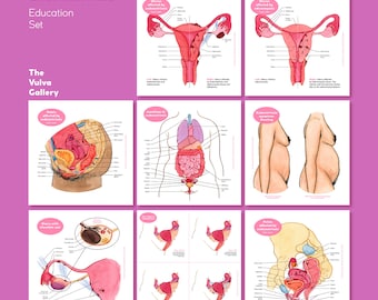 Endometriosis Education Set • 8 prints + 11 digital images • The Vulva Gallery