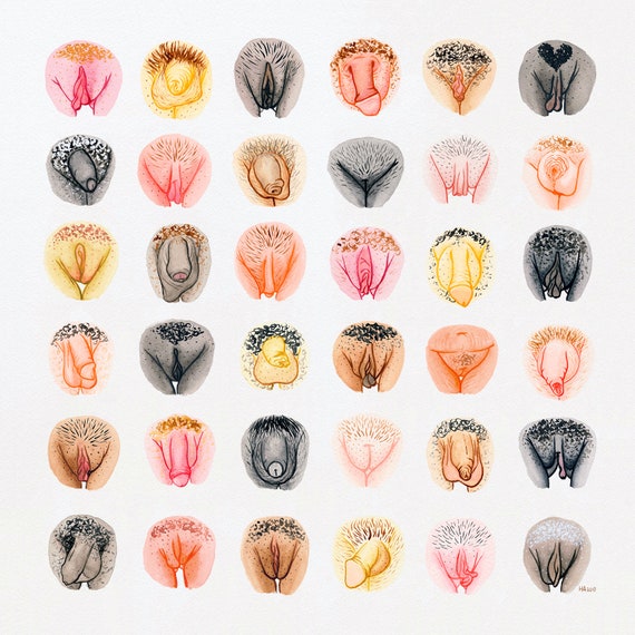 Vulva Diversity Education Set • Digital • The Vulva Gallery