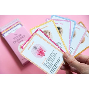 The Vulva Quartet Game A card game about vulva diversity by The Vulva Gallery image 2