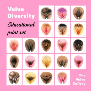 Vulva and Penis Anatomy Education Set Digital Set The Vulva Gallery 画像 6