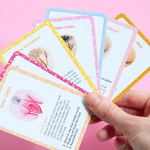 The Vulva Quartet Game A card game about vulva diversity by The Vulva Gallery image 3