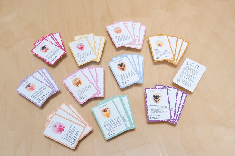 The Vulva Quartet Game A card game about vulva diversity by The Vulva Gallery image 4