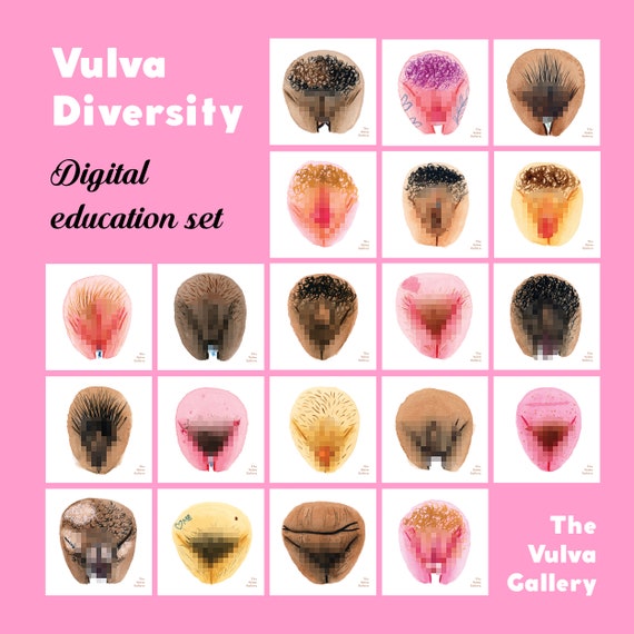 VULVA 外陰部の多様性教育セット デジタル 外陰部ギャラリー - Etsy 日本