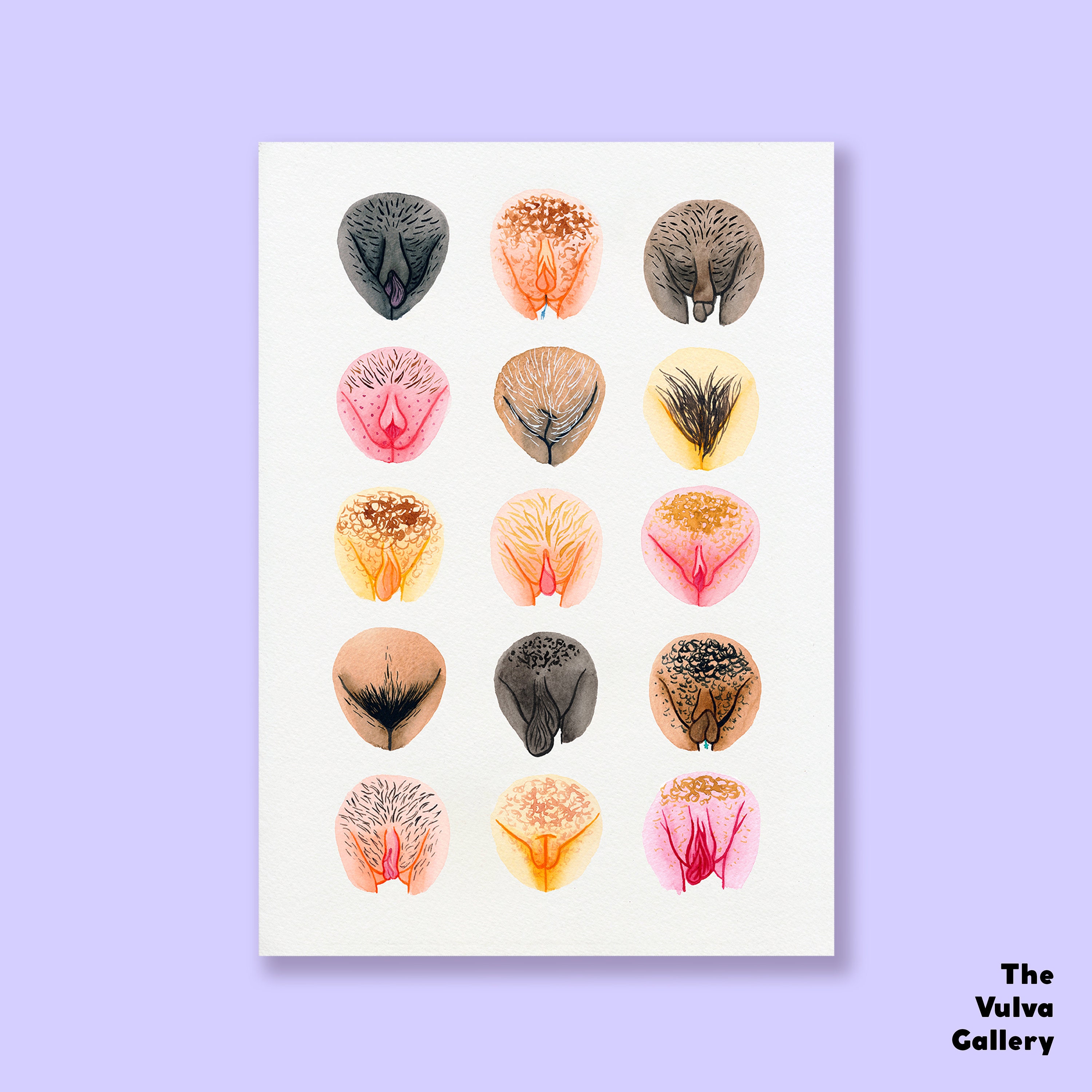 Print Vulva Diversity the Vulva Gallery 
