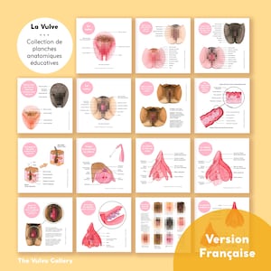 La Vulve • Collection de planches anatomiciques éducatives • Version Française • 15 stampe + 21 immagini digitali • La Galleria Vulva