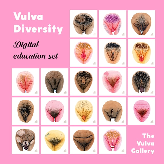 Vulva Diversity Education Set • Digital • The Vulva Gallery