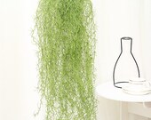 Faux Hanging Plants Hanging Air plants Fake Hanging Spanish Moss Plants Indoor Outdoor Haning Plants for Wall Planters QL-8135