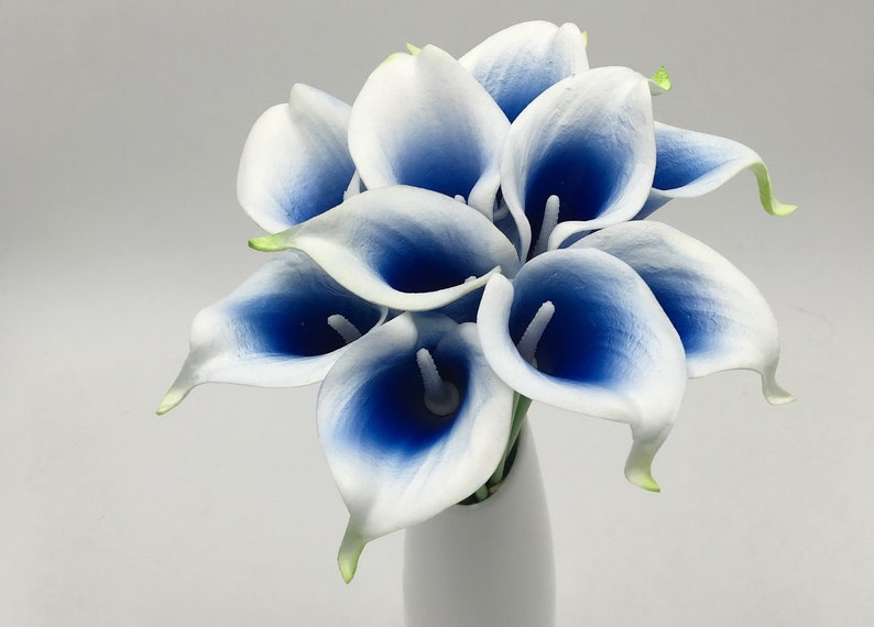 Picasso Calla Lilies Royal Blue Bouquet Callas Flowers for Etsy