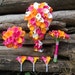 Wedding Bouquet, Fuchsia Orange Bridal Bouquet Package, Bridesmaids Bouquet Calla Lily Bouquets, Calla Lily Boutonnieres DJ-27 