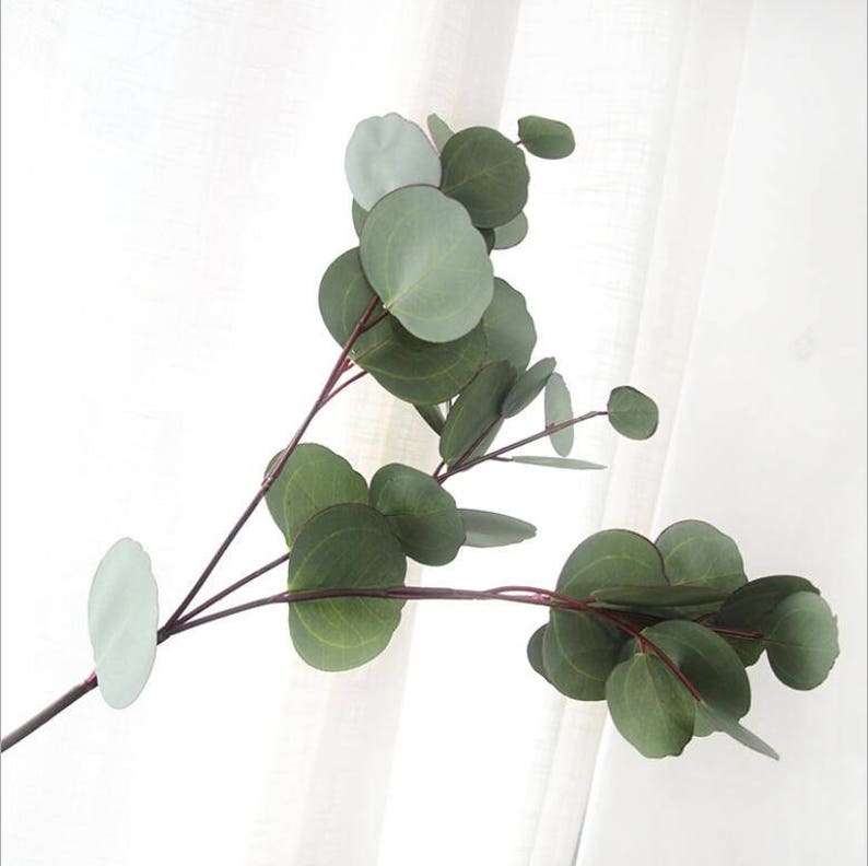 Silver Dollar Eucalyptus Artificial Greenery Plants Eucalyptus Etsy