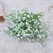 see more listings in the Babysbreath section