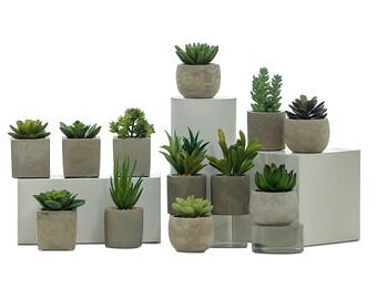 Artificial Succulents Potted Fake Small Succulent Plant Faux Plastic Plant Indoor & Outdoor for Bathroom Kitchen Office Table BF19A