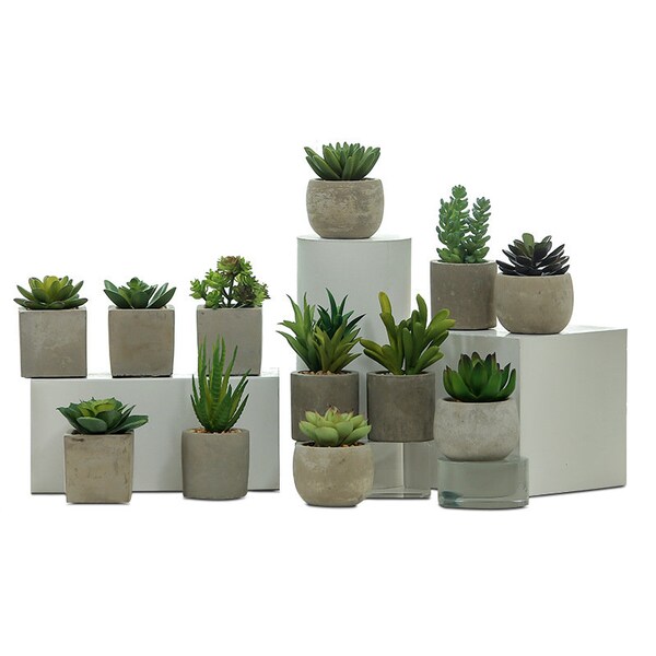 Artificial Succulents Potted Fake Small Succulent Plant Faux Plastic Plant Indoor & Outdoor for Bathroom Kitchen Office Table BF19A
