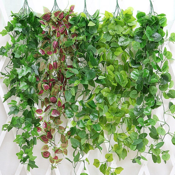 WEISPARK Plantas colgantes artificiales – 2 piezas de hojas de hiedra  falsas de vid plantas de cocina para pared, casa, habitación, jardín,  guirnalda