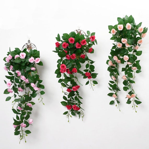 Enredaderas de flores colgantes / Plantas colgantes / - Etsy España Enredaderas de flores colgantes / Plantas colgantes / - Etsy España