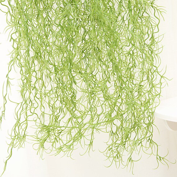 Faux Hanging Plants Hanging Air Plants Fake Hanging Spanish Moss