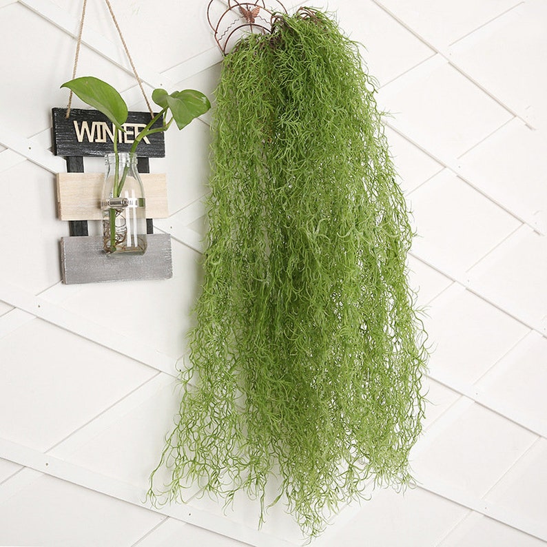 Faux Hanging Plants Hanging Air Plants Fake Hanging Etsy