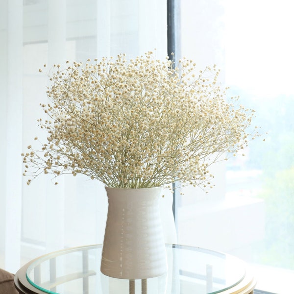 Real Flowers Babys Breath Bouquet 20-30cm Dried Babysbreath Preserved Gypsophila for Home Decor Centerpieces Rustic Wedding Flowers GH-MTX