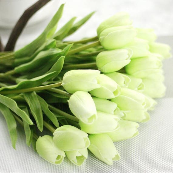Flores Verdes Tulipanes Real Touch Tulipanes Artificial - Etsy México Flores Verdes Tulipanes Real Touch Tulipanes Artificial - Etsy México