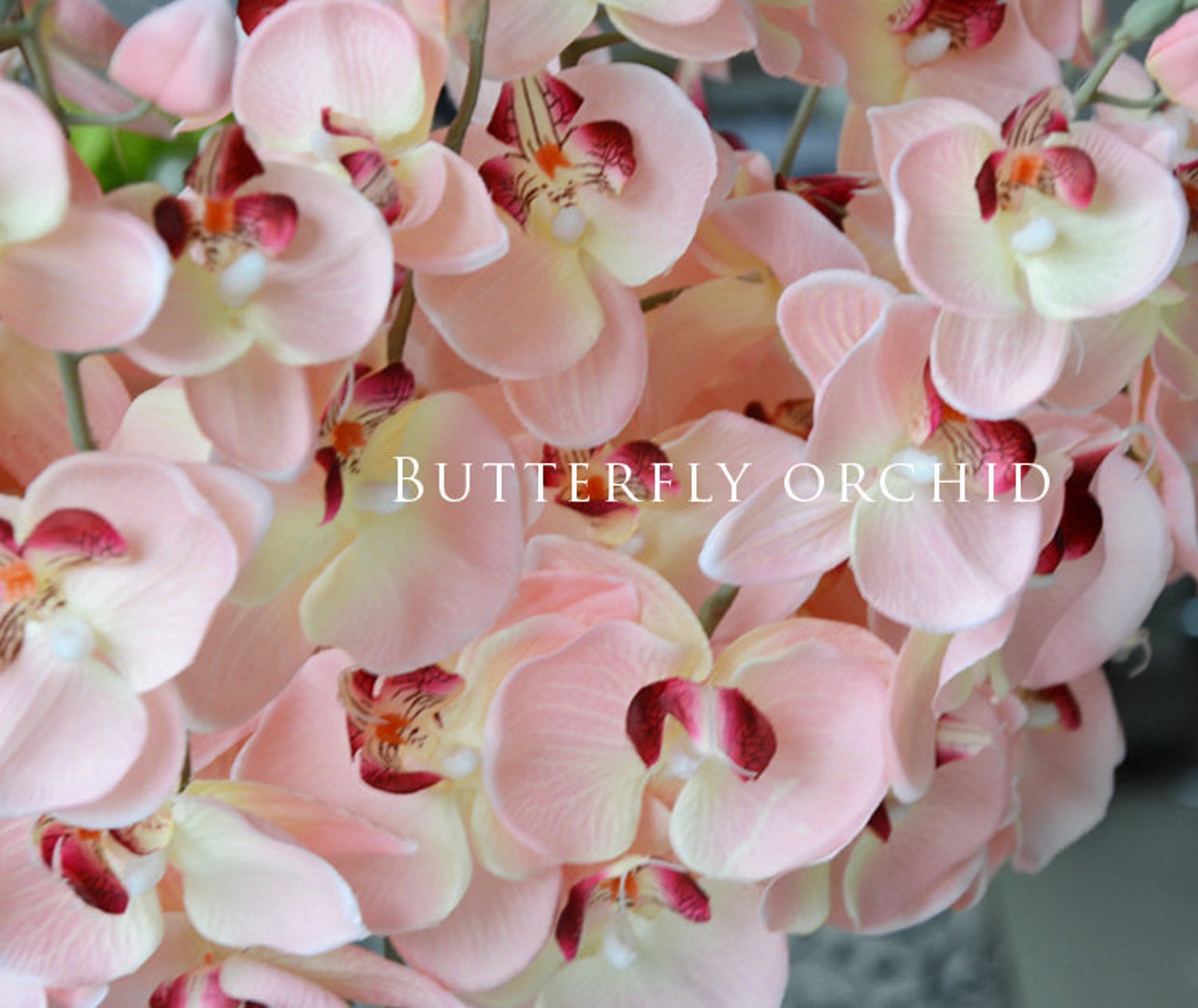 Pink Orchids Light Pink Fake Flowers Orchid Phalaenopsis Etsy