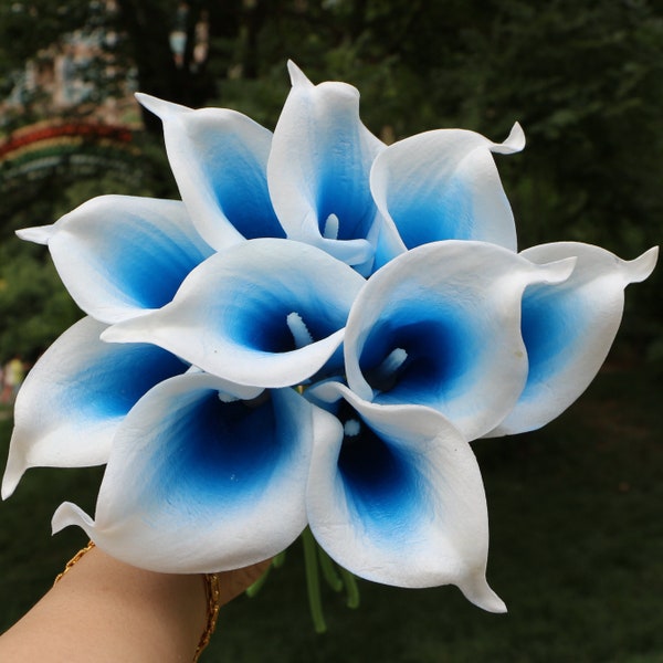 CALLIMA - LIGHT BLUE