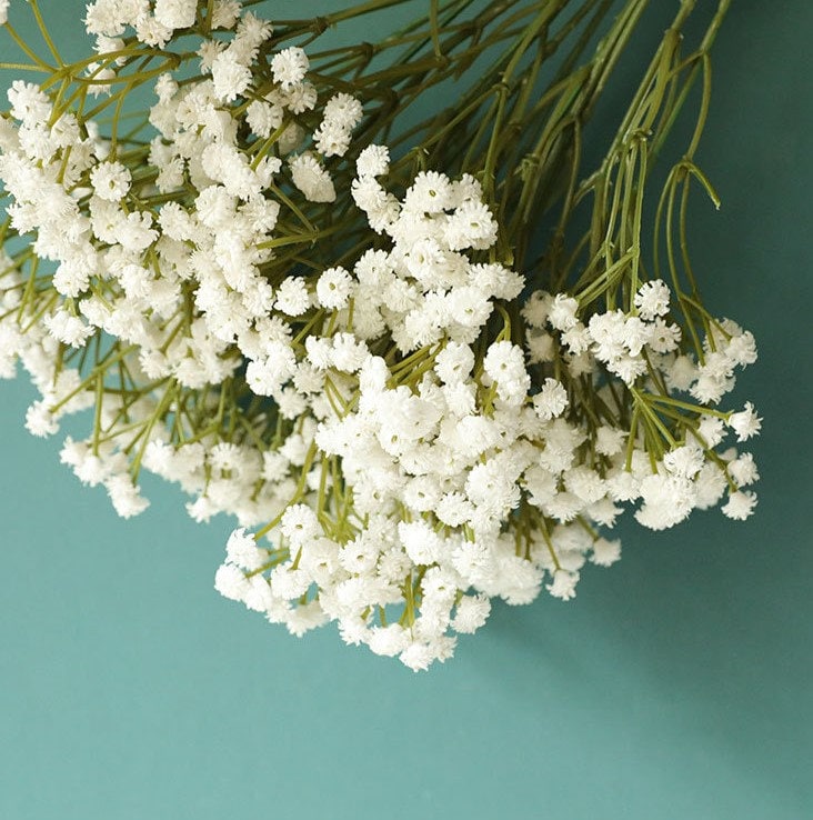 White Babys Breath Artificial Flowers Fake Gypsophila Bunch for Wedding  Table Centerpieces Flower Arrangement DIY Flowers Hz09011 -  Norway