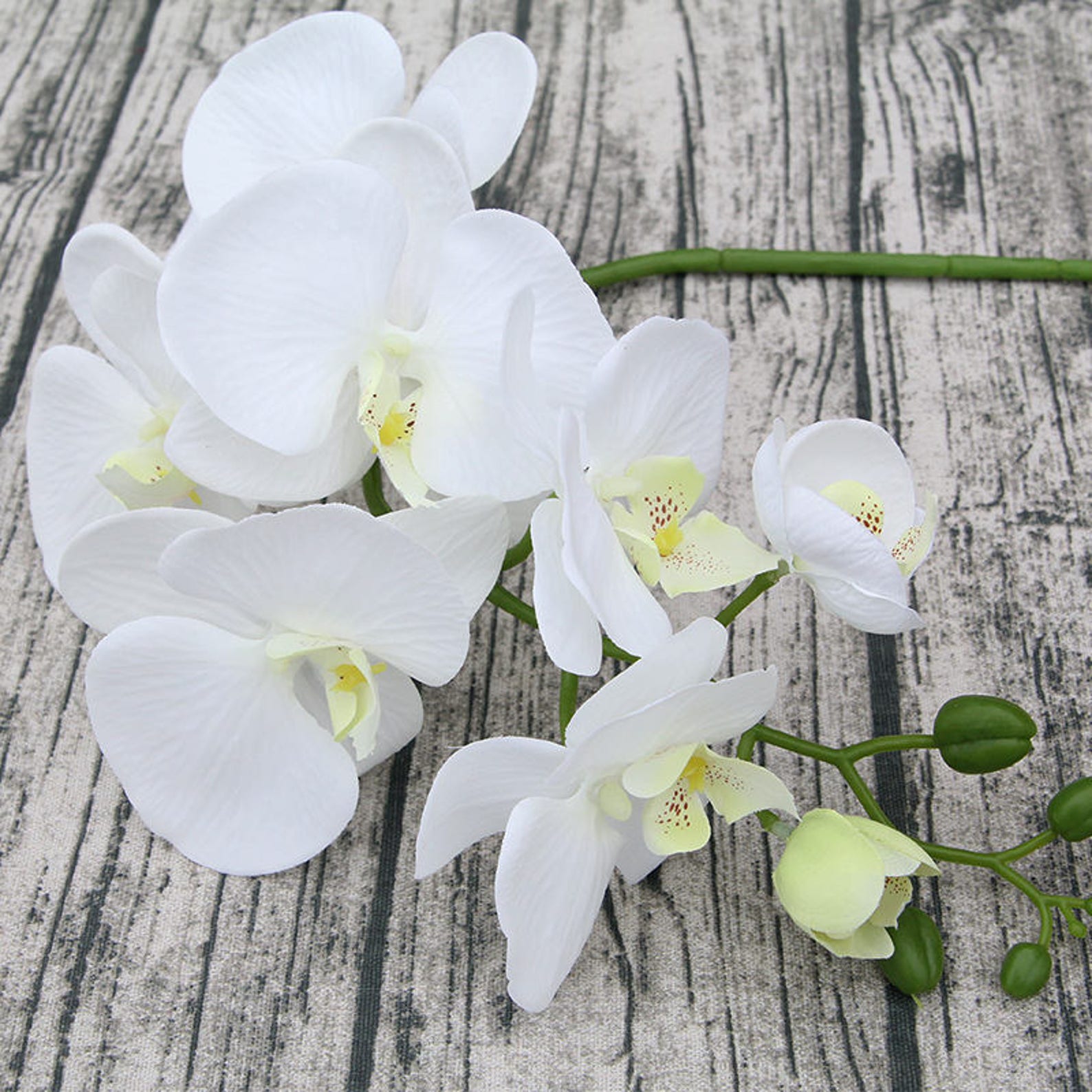 White Butterfly Flowers Artificial Silk Orchids 5 Stems for Etsy