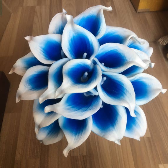 Blue on sale calla lily