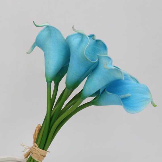 Azul Turquesa Azul Calla Lirios Turquesa Ramo Natural Calla - Etsy España