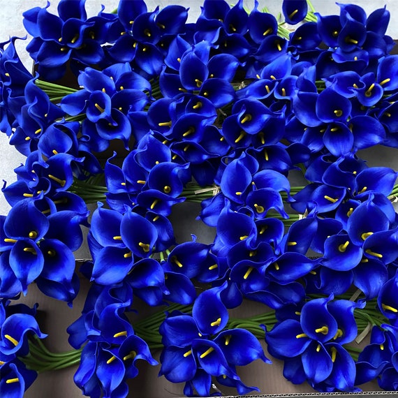 Royal cheap blue flowers