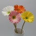 see more listings in the PU Flowers section