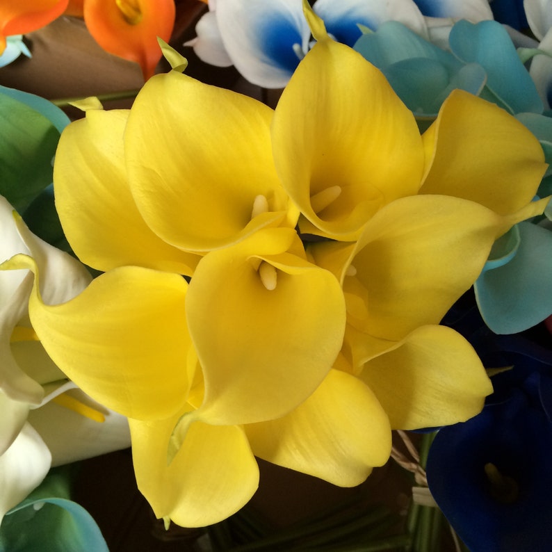 Yellow Calla Lilies Bouquet 9 Stems Real Touch Calla Lilies Etsy