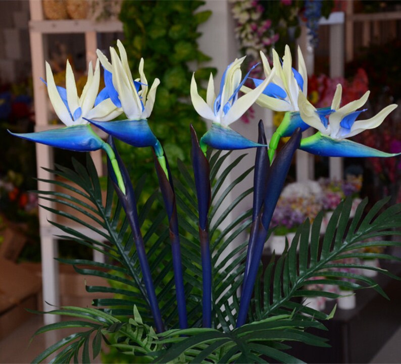 Bird of Paradise Real Touch Flowers 5 Stems Bird of Paradise Etsy