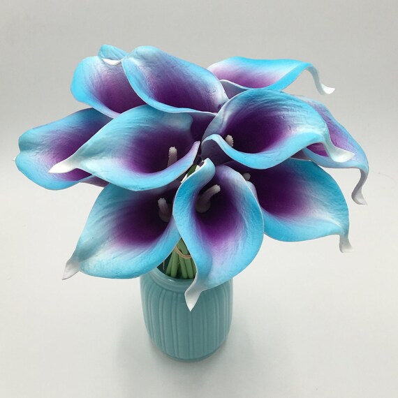 Blue and 2024 purple flowers