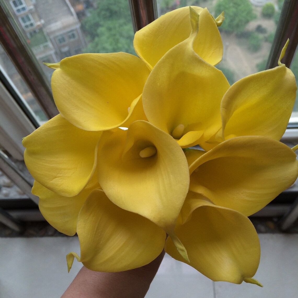 Yellow Calla Lilies Bouquet 9 Stems Real Touch Calla Lilies Etsy