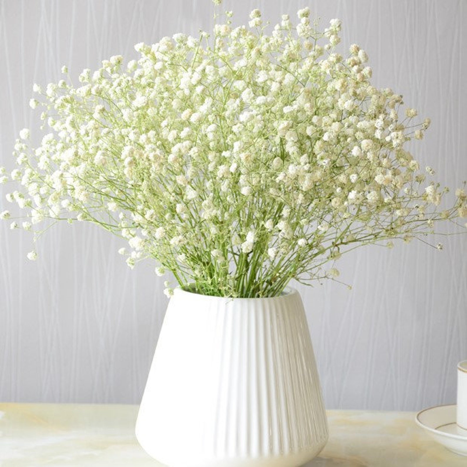 Real Flowers Babys Breath Bouquet 2030cm Dried