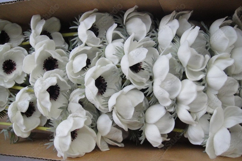 Real Touch White Anemones Flowers PU Artificial Anemones Wedding Flowers For Bouquet Table Centerpieces Natural PU Flowers image 4