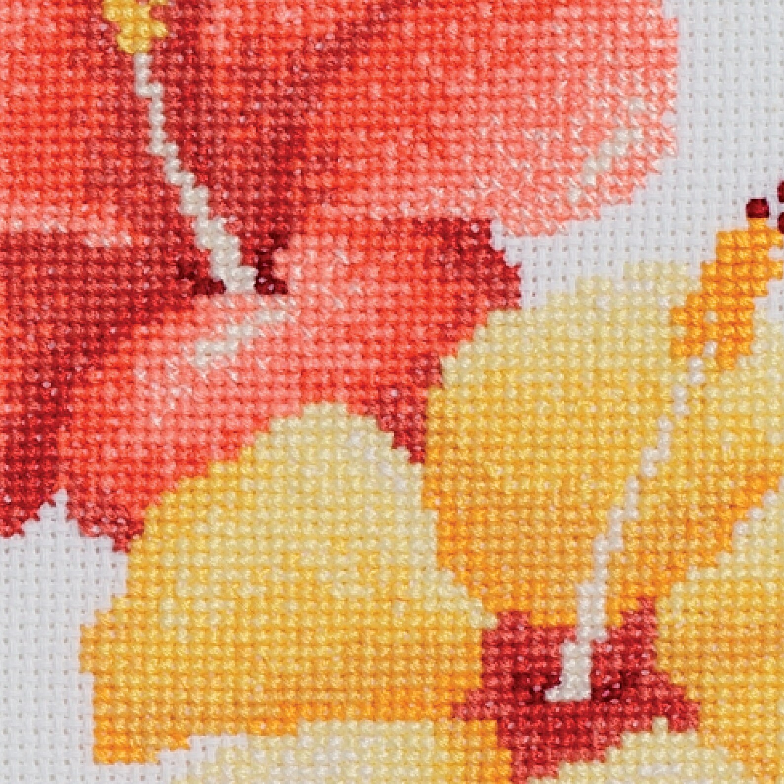 Hibiscus A Counted Cross Stitch Design Some Beautiful - Etsy