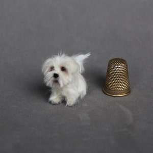 Doll house miniature dog,Maltese, CUSTOM ORDER Ooak Needle Felted miniature dog-eco friendly art-Collectible artist animals 1 inch. 1:12 image 3