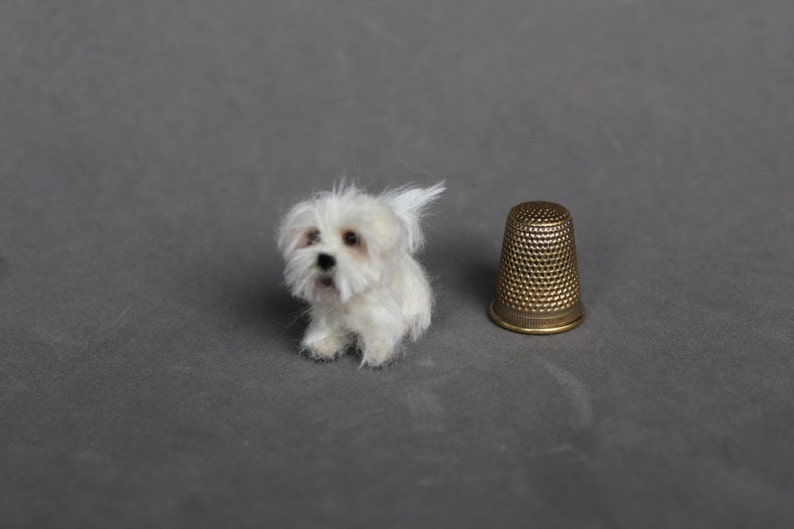 Doll house miniature dog,Maltese, CUSTOM ORDER Ooak Needle Felted miniature dog-eco friendly art-Collectible artist animals 1 inch. 1:12 image 3