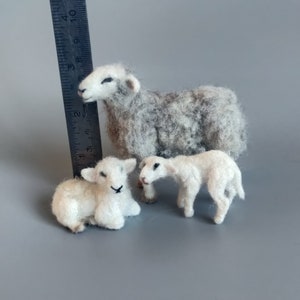 Needle Felted Lamb sheep family Nativity set-needle felt-Christmas decoration-doll house miniature animals 1:12 scale articulated image 8