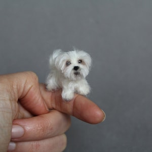 Doll house miniature dog,Maltese, CUSTOM ORDER Ooak Needle Felted miniature dog-eco friendly art-Collectible artist animals 1 inch. 1:12 image 2