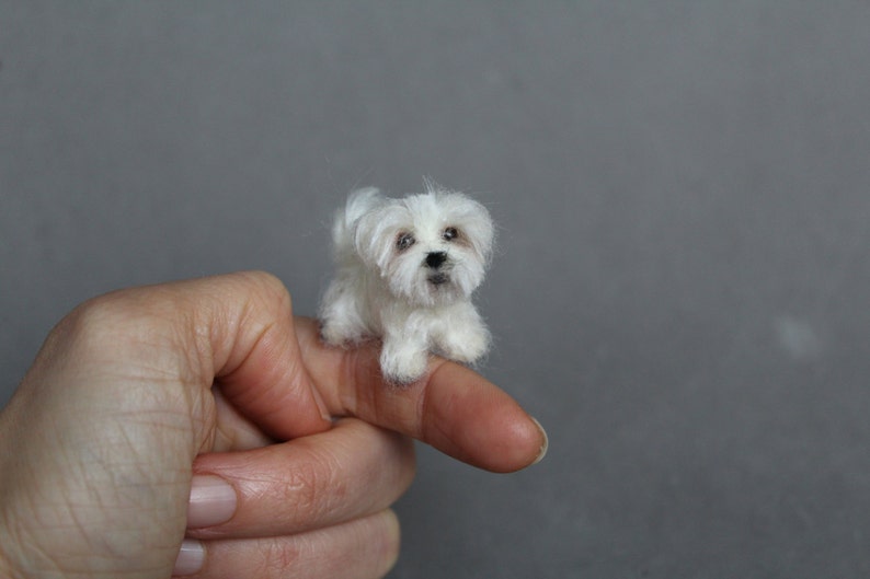 Doll house miniature dog,Maltese, CUSTOM ORDER Ooak Needle Felted miniature dog-eco friendly art-Collectible artist animals 1 inch. 1:12 image 2