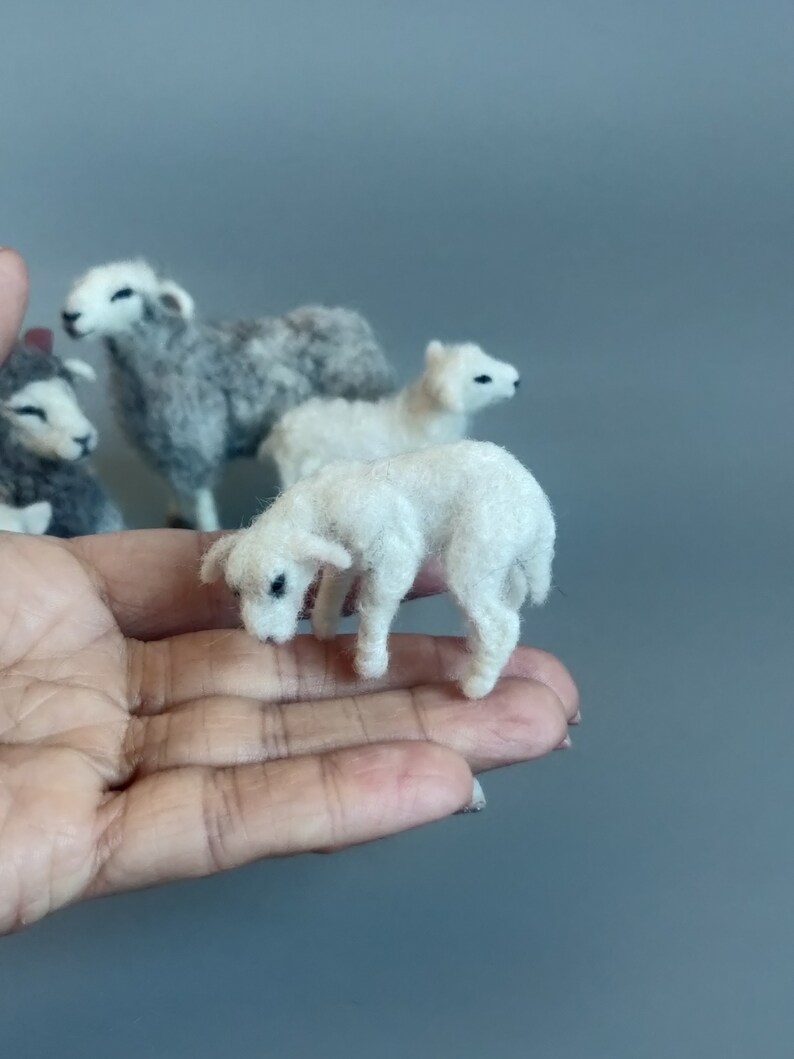 Needle Felted Lamb sheep family Nativity set-needle felt-Christmas decoration-doll house miniature animals 1:12 scale articulated image 9