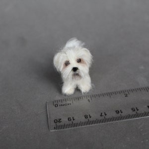 Doll house miniature dog,Maltese, CUSTOM ORDER Ooak Needle Felted miniature dog-eco friendly art-Collectible artist animals 1 inch. 1:12 image 5