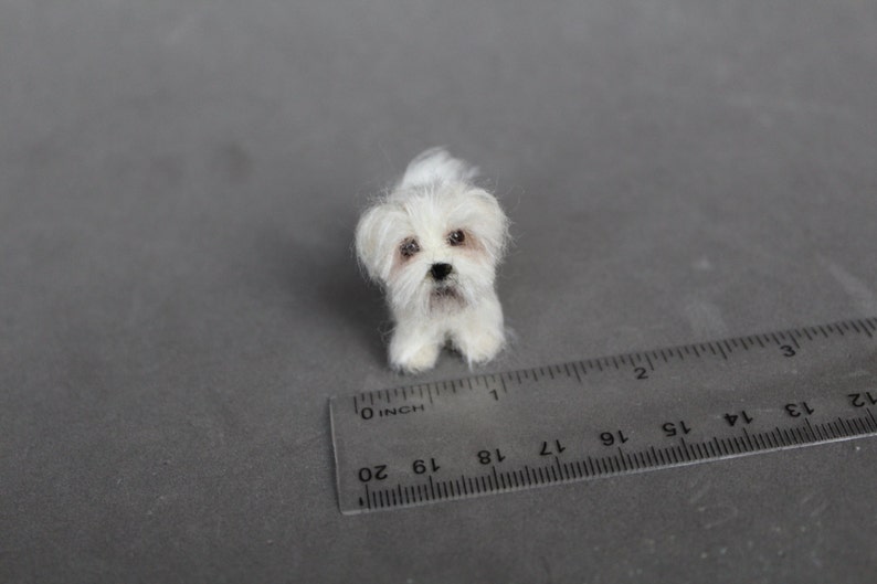 Doll house miniature dog,Maltese, CUSTOM ORDER Ooak Needle Felted miniature dog-eco friendly art-Collectible artist animals 1 inch. 1:12 image 5